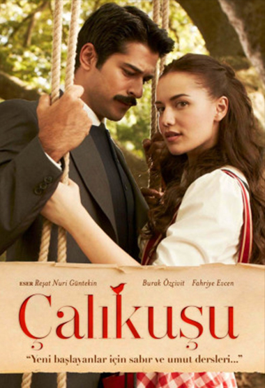 Calikusu – Pitulicea